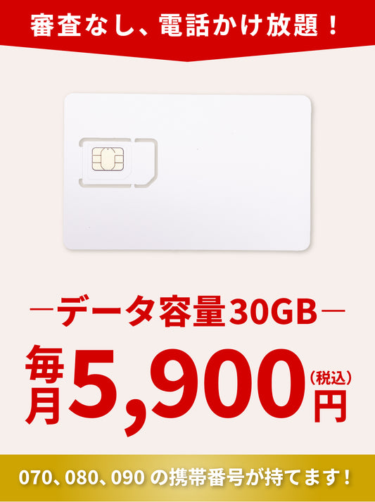 電話かけ放題！【データ30GB・ドコモ電波】