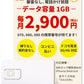 電話かけ放題！【データ容量 1GB】