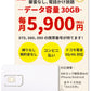電話かけ放題！【データ容量 30GB】